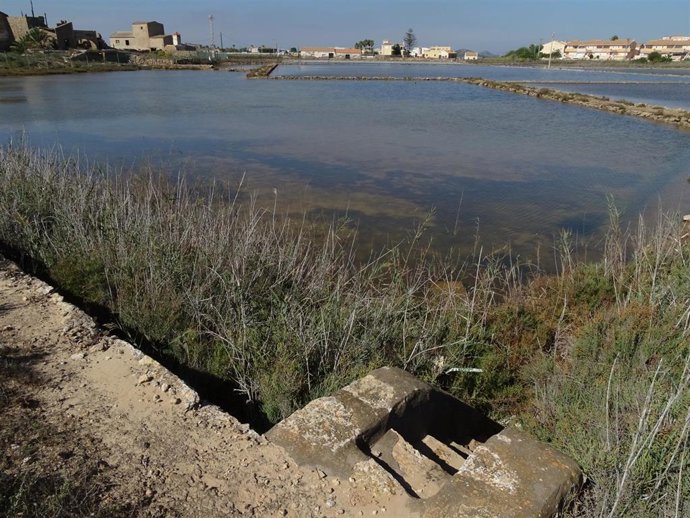 Zona de dominio público de las salinas de Marchamalo