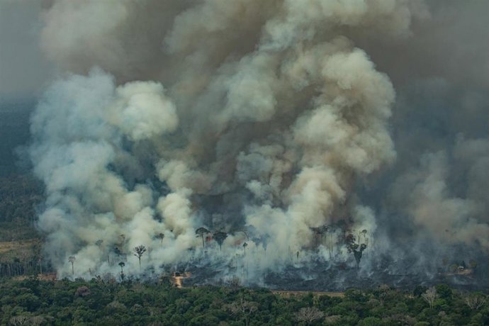 HANDOUT - 24 August 2019, Brazil, Rondonia: Smoke rises from the forest during a fire near the town of Caneiras do Jamari in Rondonia.  Photo: Victor Moriyama/Greenpeace Brazil/dpa -