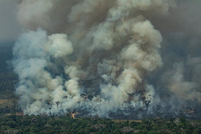 Los científicos declaran emergencia climática y establecen indicadores globales 