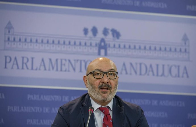 El portavoz del grupo parlamentario Vox, Alejandro Hernández