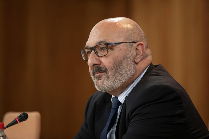 El portavoz parlamentario de Vox, Alejandro Hernández.