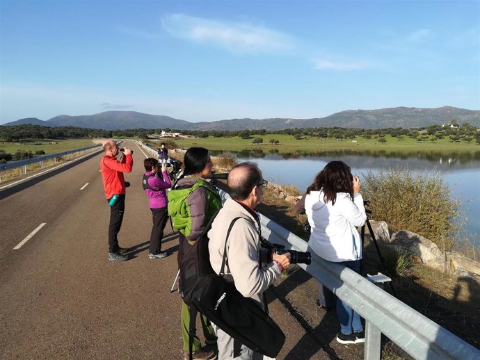 Actividad de observación de la naturaleza