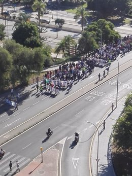 Manifestación del sector del taxi en Málaga