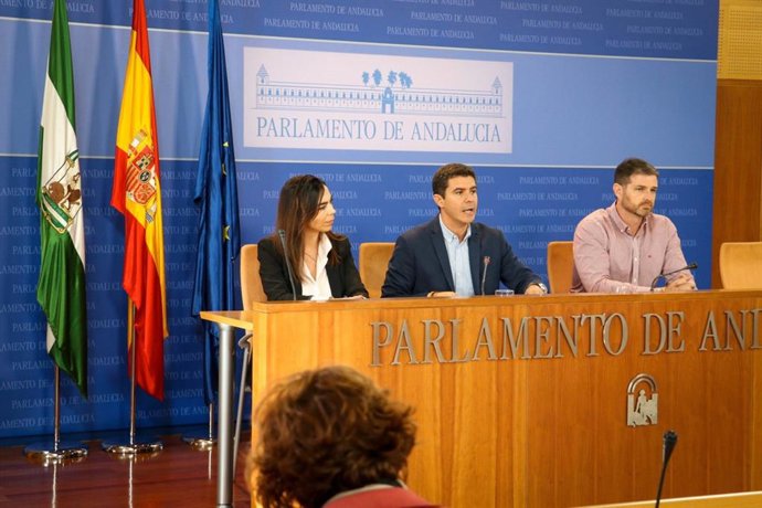 Rueda de prensa del portavoz de Cs en el Parlamento, Sergio Romero, acerca de la comision de investigacion sobre la Faffe junto a la portavoz en dicha comision, Teresa Pardo, y el portavoz adjunto, Juan de Dios Sanchez