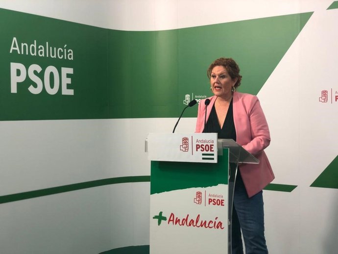Araceli MAese, secretaria de Organización del PSOE de Cádiz