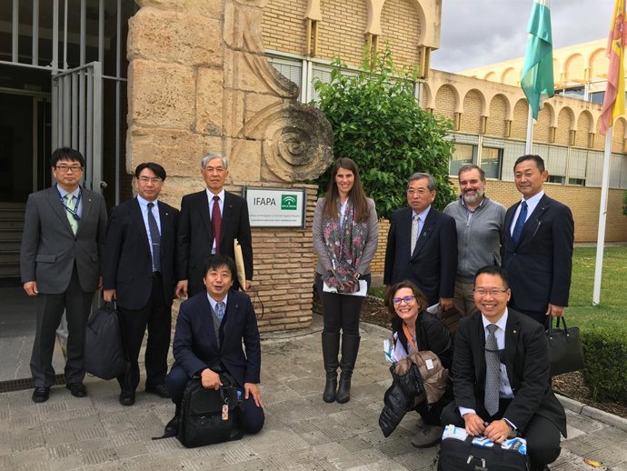 Córdoba.- La Junta muestra a una delegación japonesa la investigación sobre el o