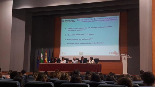 Jornadas sobre forman tratamiento de úlceras por presión.