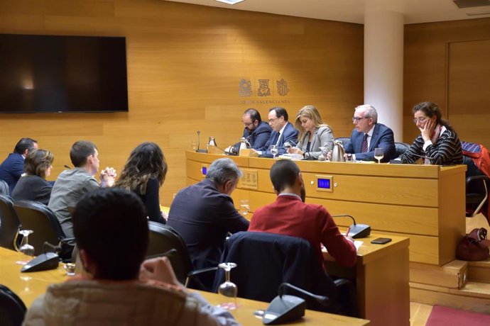 Soler en su comparecencia en Corts