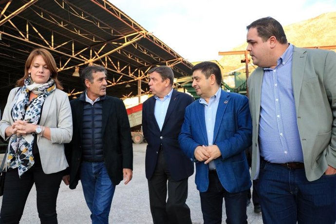 Planas defiende una PAC con ayudas adicionales para el olivar tradicional