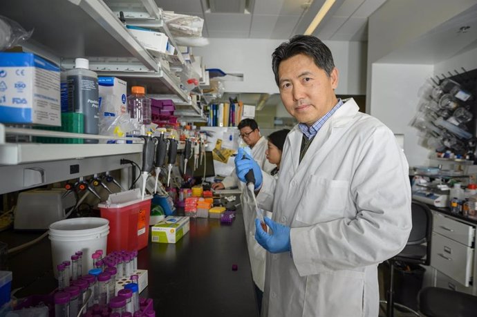 El autor principal, Zhenjia Wang, maneja un tubo de nanopartículas diseñado para matar selectivamente los neutrófilos inflamatorios que contribuyen a la sepsis y al daño cerebral después del accidente cerebrovascular.
