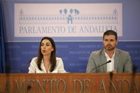 Cs acusa a Chaves de "reírse de los andaluces" y "no va a permitir" que lo haga "dos veces" en la comisión de la Faffe