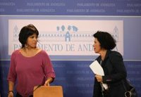 Adelante cree que comisión de Faffe ha quedado "anulada" y se ha convertido en un "circo" con objetivo "electoralista"