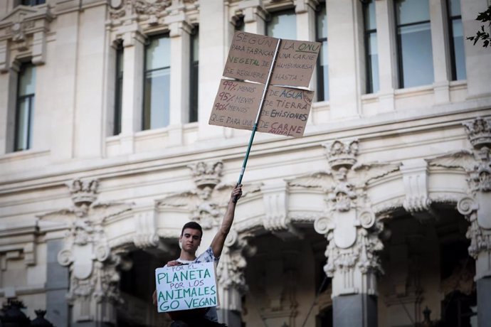 Marcha en Madrid por la segunda huelga mundial por el clima