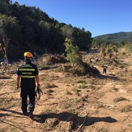 Guía canino en la zona del río Francolí donde se busca a los desaparecidos por la gota fría