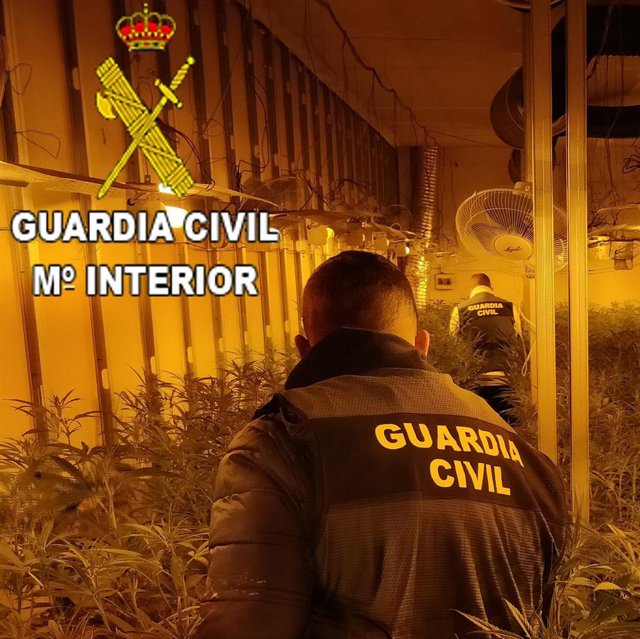 Droga intervenida en viviendas en Oliva