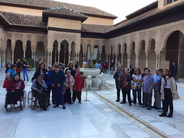 Visita de los residentes de la López Barneo a La Allhambra