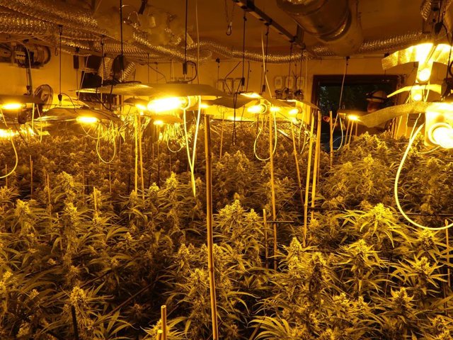 La Policía Nacional ha desmantelado en Toledo tres laboratorios clandestinos.