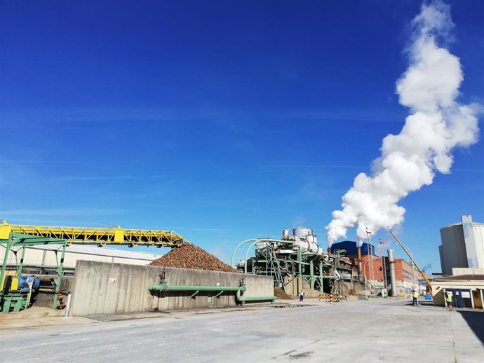Imagen de la molturadora de Acor en la campaña 2019-2020