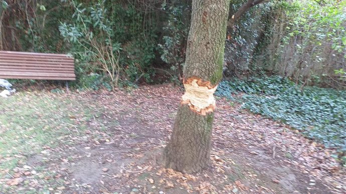 Acto vandálico en un parque de Barakaldo