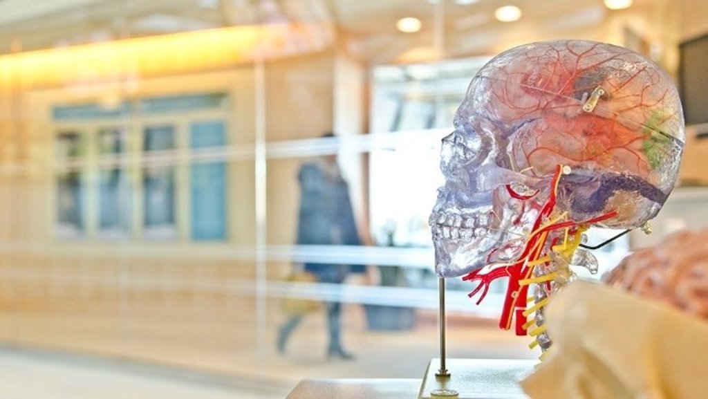Desarrollan un nuevos método para medir la atrofia de la médula espinal - Infosalus