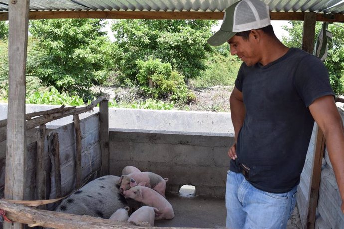 Naim recibió ayuda de la OIM para la cría de cerdos