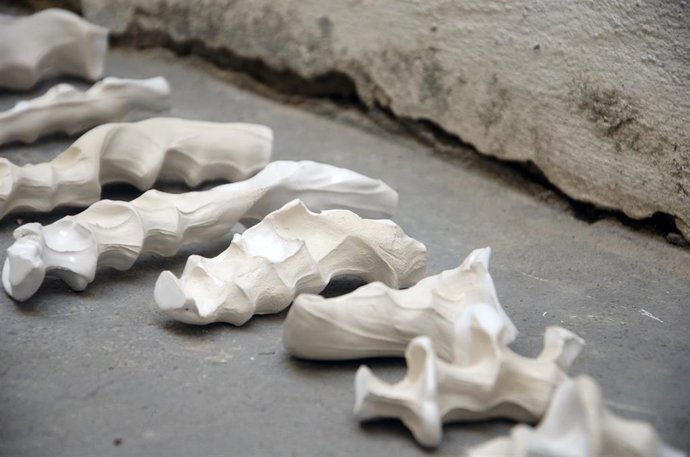 Exposición de Hinoki