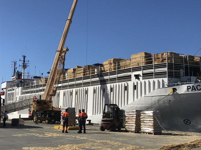 Exportación de ganado vivo Autoridad Portuaria