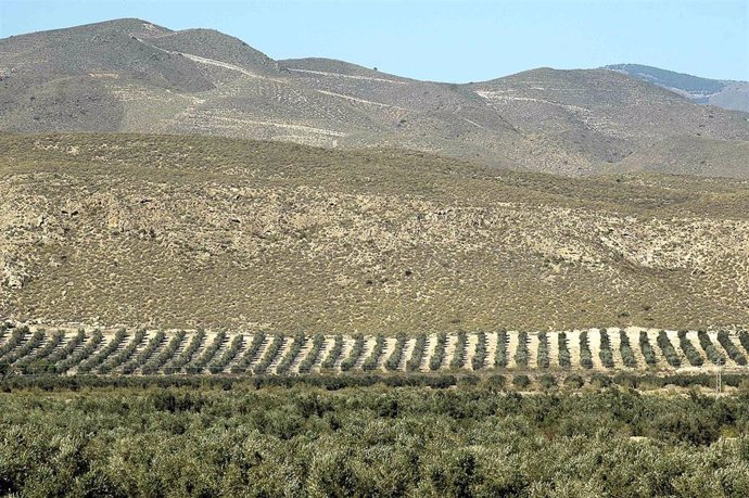 Campo, Cultivos, Montaña