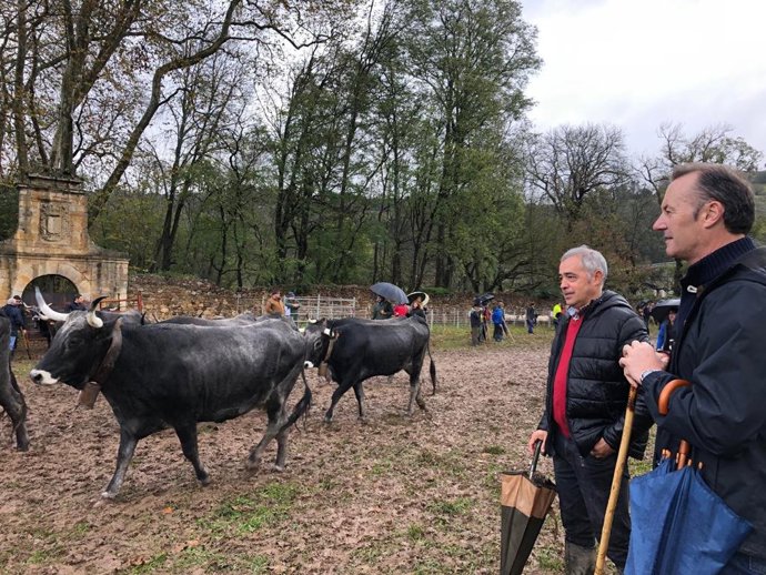 El consejero de Desarrollo Rural, Ganadería, Pesca, Alimentación y Medio Ambiente, Guillermo Blanco, ha asistido hoy a la XXXIX edición de la tradicional Feria Exposición de Ganado de Arenas de Iguña