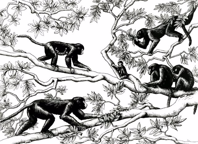 Recreación de un grupo de Aegyptopithecus