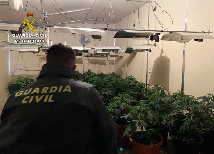 Guardia Civil desmantela dos naves acondicionadas para el cultivo de marihuana y detiene a un individuo