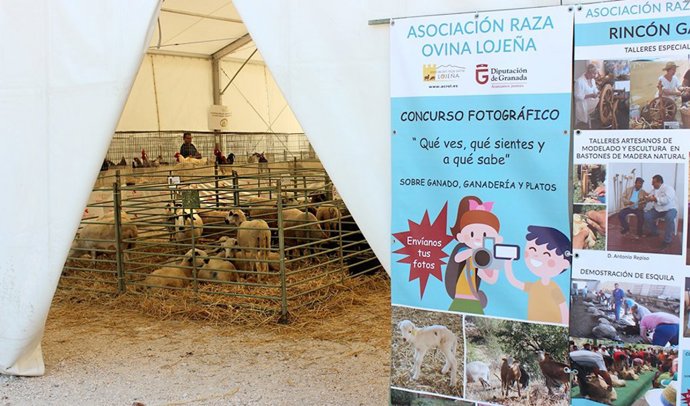 Consejo.- La Junta convoca ayudas a la organización de certámenes agroganaderos 