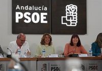 PSOE-A saluda el acuerdo con Unidas Podemos "para que España tenga cuanto antes un gobierno estable y progresista"