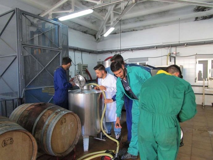 Agricultura abona 4,3 millones de euros a 1.703 jóvenes agricultores en concepto