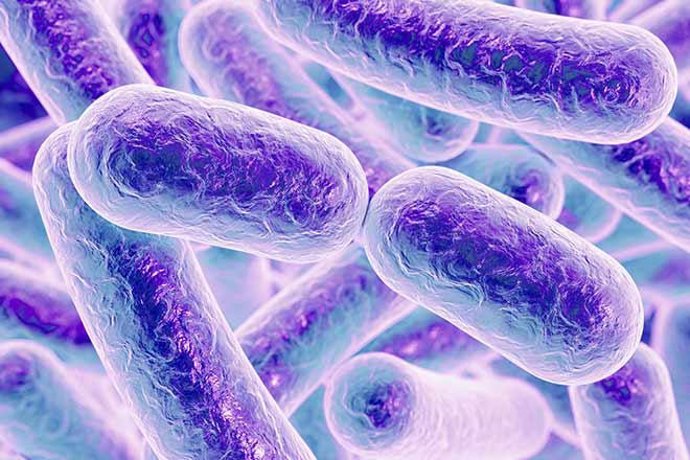 La microbiota intestinal podría estar relacionada con el desarrollo de la enferm