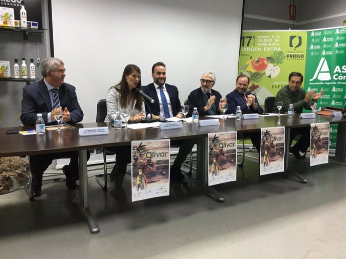 Córdoba.- La Junta defiende el olivar como sector estratégico en la región