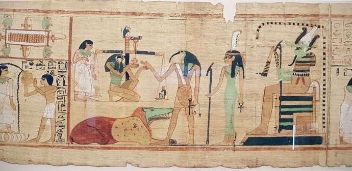 Los egipcios capturaban ibis para sacrificarlos y momificarlos