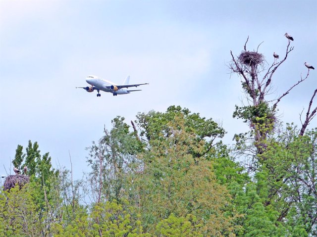 Avión Despegando