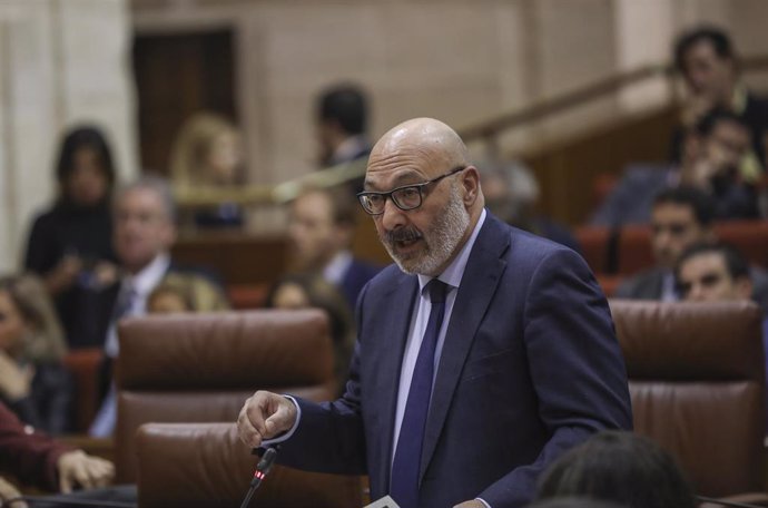 El portavoz del grupo parlamentario Vox en Andalucía, Alejandro Hernández, en una foto de archivo en el Pleno del Parlamento andaluz.