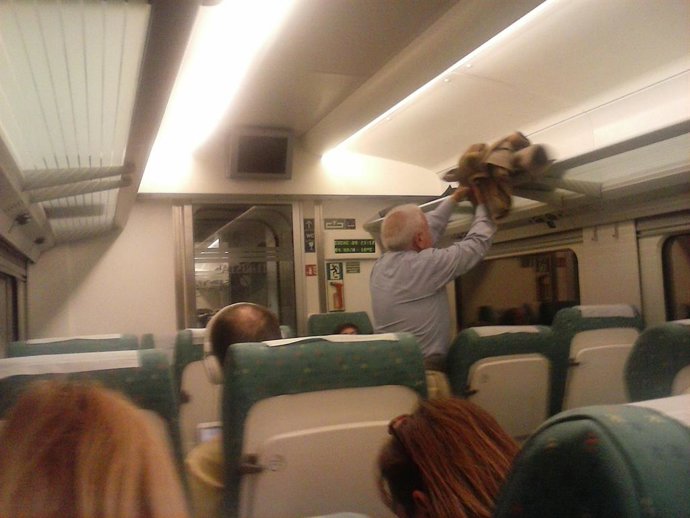 Tren de Renfe entre Madrid y Gijón