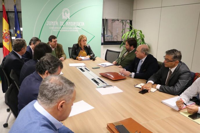 Junta ofrece apoyo técnico a agentes interesados en presentar ofertas para el al