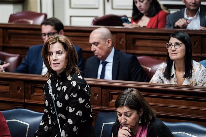 La consejera de Sanidad del Gobierno de Canarias, Teresa Cruz, en el Pleno del Parlamento