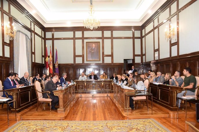 Pleno de la Diputación de Guadalajara