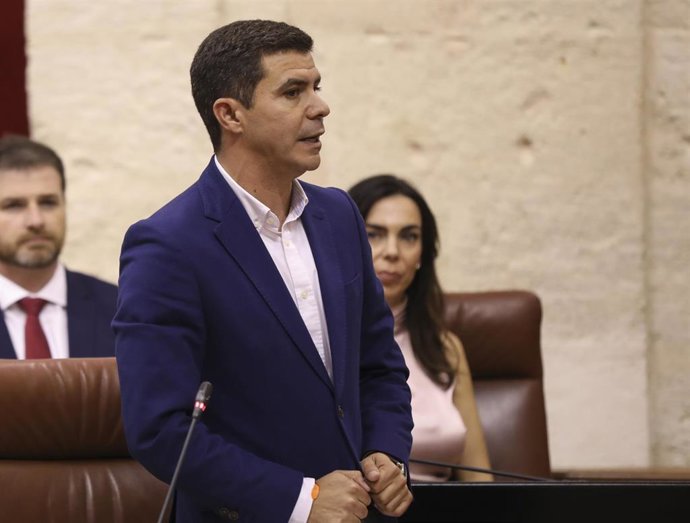 El portavoz del grupo parlamentario de Ciudadanos, Sergio Romero, en una foto de archivo en el Pleno del Parlamento.