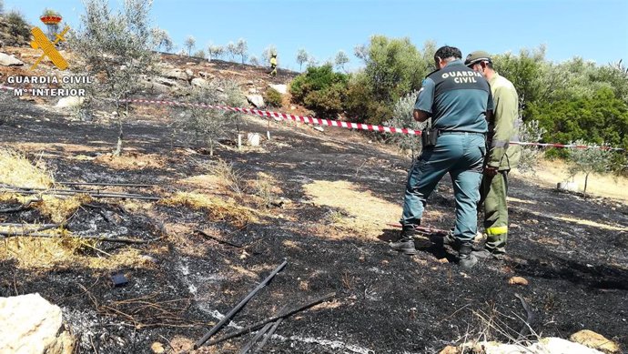 Agentes de medio ambiente de la Junta y guardia civil del Seprona investigan las causas de un incendio