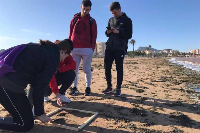 Estudiantes de Bachillerato limpian basura marina en el Mar Menor