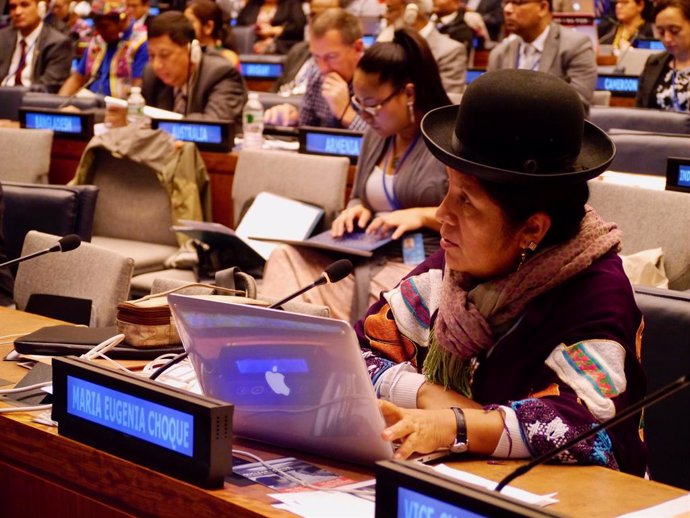 Bolivia.- El foro indígena de la ONU pide a Bolivia que respete los derechos de 