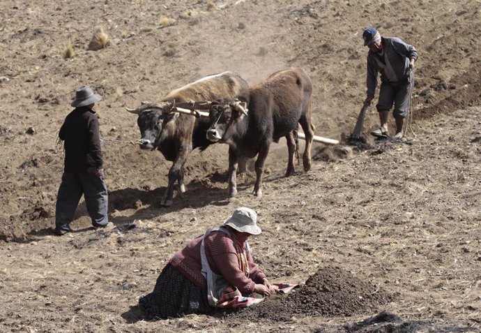 Campesinos bolivianos.