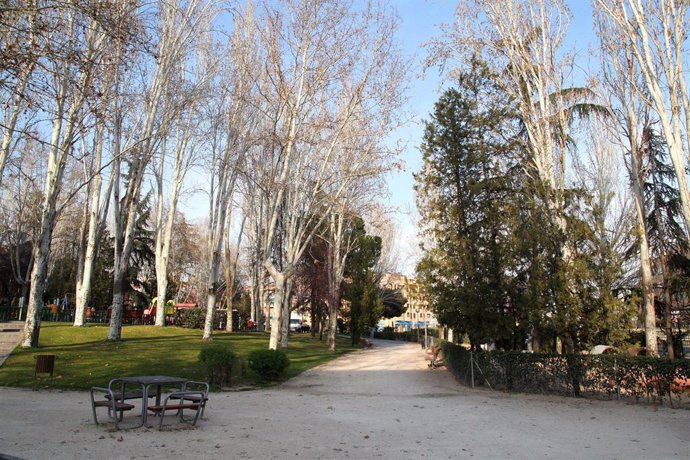 Imagen de recursos de árboles en un parque de Alcobendas.