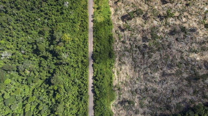 Un estudio culpa a la deforestación de la ola de fuegos en el Amazonas